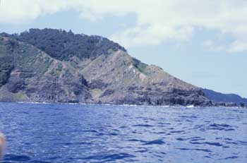 D'Arcy Point D'Arcy Point